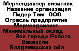 Мерчендайзер-визитник › Название организации ­ Лидер Тим, ООО › Отрасль предприятия ­ Мерчендайзинг › Минимальный оклад ­ 23 000 - Все города Работа » Вакансии   . Владимирская обл.,Вязниковский р-н